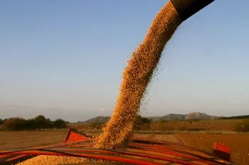 El Gobierno quiere conseguir US$7000 millones con las retenciones cero al campo