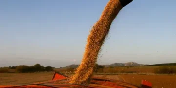 El Gobierno quiere conseguir US$7000 millones con las retenciones cero al campo