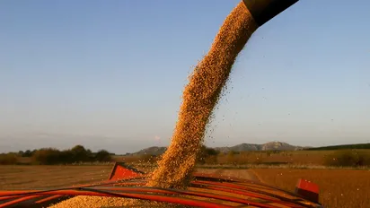 El Gobierno quiere conseguir US$7000 millones con las retenciones cero al campo