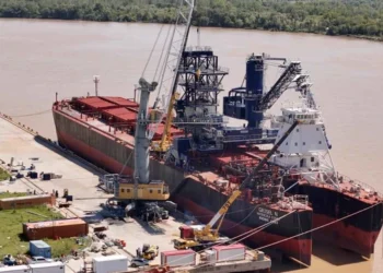 El campo cumple: Volumen y precio sostienen la paz cambiaria de diciembre.