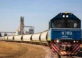 Oficializan la licitación del Belgrano Cargas: detalles del esquema para vías, material y uso de fondos.