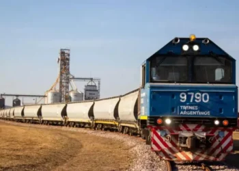 Oficializan la licitación del Belgrano Cargas: detalles del esquema para vías, material y uso de fondos.