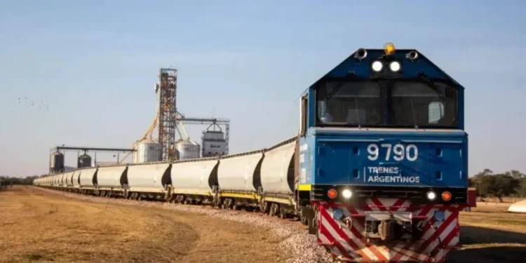 Oficializan la licitación del Belgrano Cargas: detalles del esquema para vías, material y uso de fondos.