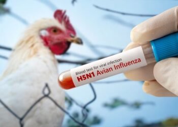 Argentina recupera su estatus de país libre de gripe aviar