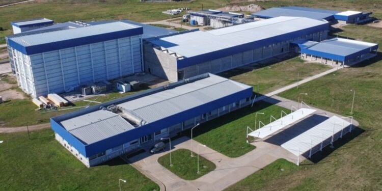 Vall Companys, el gigante alimentario español, entra en el negocio porcino argentino de Grupo Pacuca