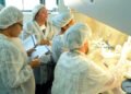 Investigación en Ushuaia para Detectar la Circulación de Hantavirus