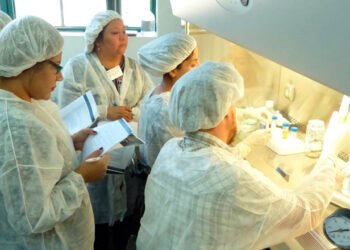 Investigación en Ushuaia para Detectar la Circulación de Hantavirus