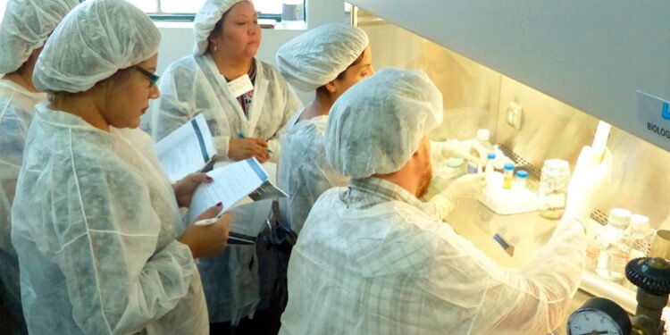 Investigación en Ushuaia para Detectar la Circulación de Hantavirus