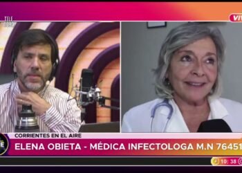 Expertos analizan el incremento de casos de Hantavirus en Argentina y ofrecen pautas para evitar contagios