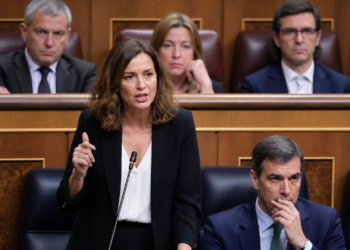 La Oposición Manifiesta Dudas sobre el Programa Gemelo Digital Social y Toma Medidas en el Congreso