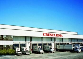 Crisis en la principal avícola del país: despidos, reducción de producción y una deuda millonaria