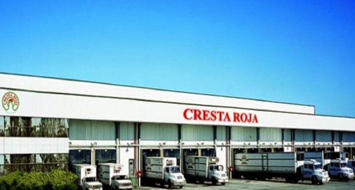 Crisis en la principal avícola del país: despidos, reducción de producción y una deuda millonaria