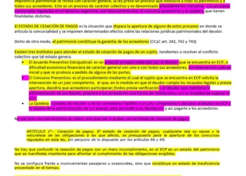 Aumento de procesos judiciales por quiebras en pymes