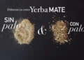 Yerba mate: diferencias entre las variedades con palo, sin palo, orgánicas y artesanales