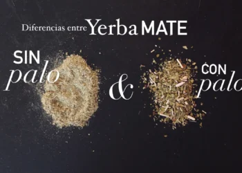 Yerba mate: diferencias entre las variedades con palo, sin palo, orgánicas y artesanales