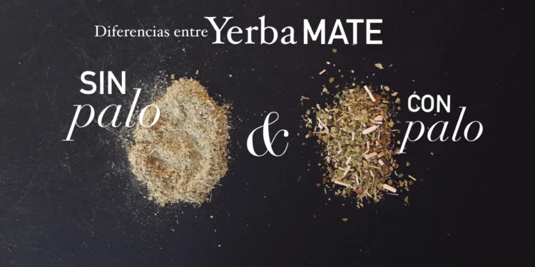 Yerba mate: diferencias entre las variedades con palo, sin palo, orgánicas y artesanales