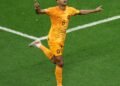 El conmovedor llanto de Cody Gakpo tras su gol ante Marruecos en un momento personal trágico