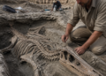 Descubierto Kank Australis, un nuevo dinosaurio carnívoro en Santa Cruz