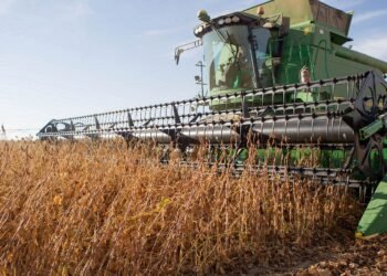 Aumento en el precio de la soja: incrementos de US$17,55 impulsados por diversos factores