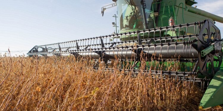 Aumento en el precio de la soja: incrementos de US$17,55 impulsados por diversos factores