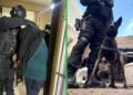 Detenidos un barrabrava y una jubilada por vinculación con una banda narco en Córdoba