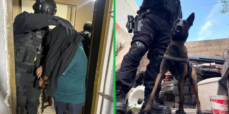 Detenidos un barrabrava y una jubilada por vinculación con una banda narco en Córdoba
