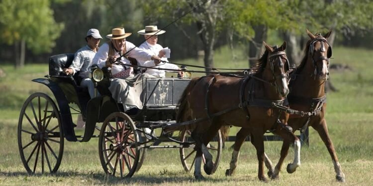 El intrigante legado del “jaunting car” en San Antonio de Areco