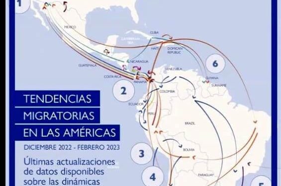 Dejó su trabajo docente para seguir a la Selección en EE. UU. y enfrentó la posibilidad de deportación: “No me arrepiento”