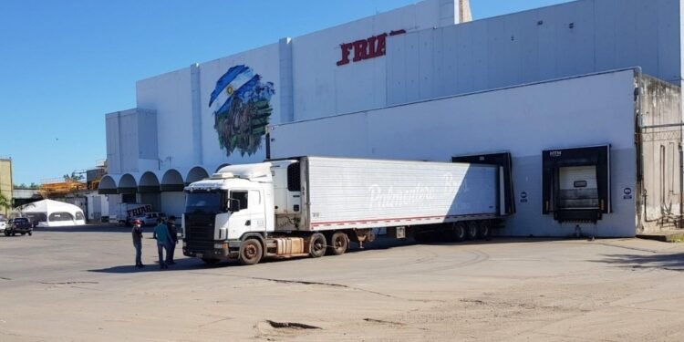 Vicentin apuesta a la integración: estrategia judicial y productiva para reflotar sus negocios cárnicos y lácteos