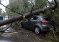 Trágico accidente en Mendoza: pareja muere aplastada por un árbol durante un temporal