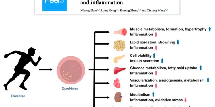 Descubren el impacto positivo de solo tres minutos de ejercicio intenso en la salud