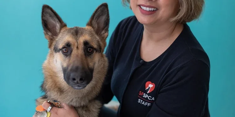Wailani Sung, veterinaria: “Los perros pueden tener una persona favorita, pero también pueden crear fuertes lazos con otros miembros de la familia”