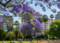 Inicio de la primavera en Argentina: fecha y significado