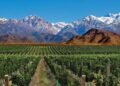 El sector turístico que moviliza US$ 238,8 millones y enfrenta un “desperdicio” en Mendoza