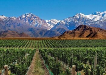 El sector turístico que moviliza US$ 238,8 millones y enfrenta un “desperdicio” en Mendoza