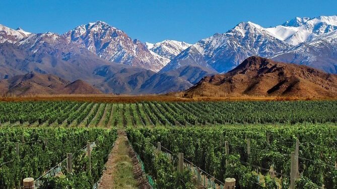 El sector turístico que moviliza US$ 238,8 millones y enfrenta un “desperdicio” en Mendoza