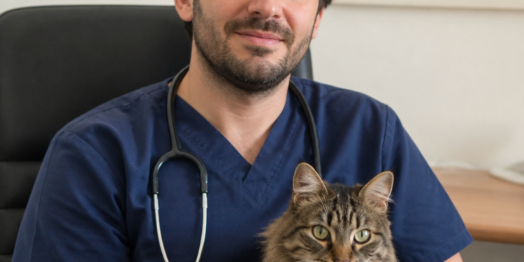 Diego Díaz, veterinario: “Los gatos que no salen sufren por falta de estimulación ambiental”