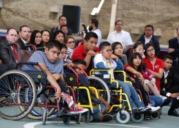 Aleados de Javier Milei ponen en duda su apoyo en el Congreso por la Ley de Discapacidad