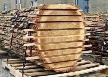 Un sillón artesanal para el Papa: madera de guatambú y detalles dorados en su diseño
