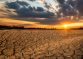 Advertencia de la ONU sobre el fenómeno de El Niño y su impacto inminente