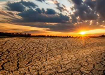 Advertencia de la ONU sobre el fenómeno de El Niño y su impacto inminente