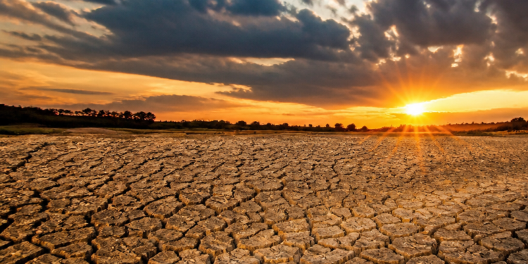 Advertencia de la ONU sobre el fenómeno de El Niño y su impacto inminente